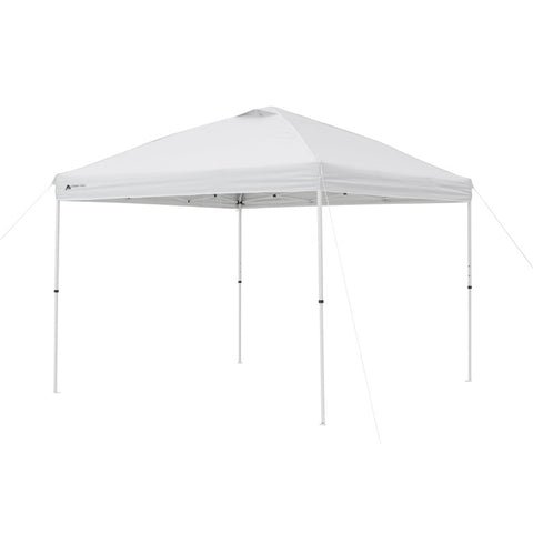 Additional 10x10 Tent